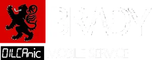Brady Diesel Services